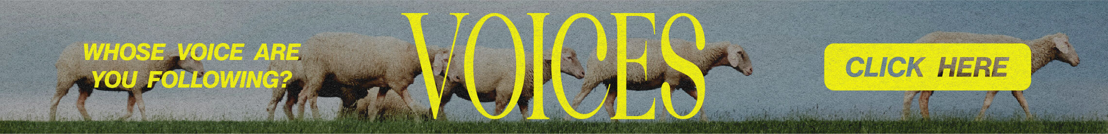 Voices 2280x276 Web Banner
