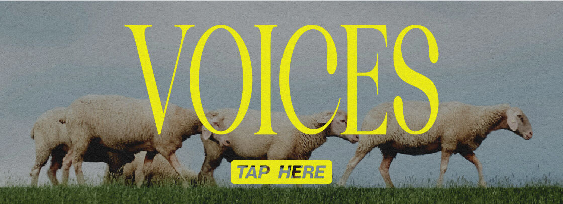 Voices 1120x406 Mobile Banner